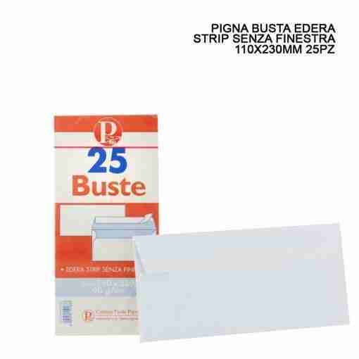 Pigna Busta Edera S/Finestra 11x23cm 90g 25pz