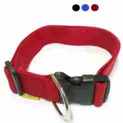 Bps-3826 Collare Per Cane 38mm X 55/75cm