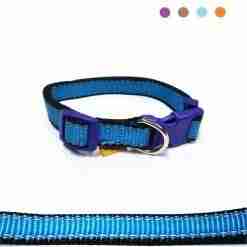 Bps-3830 Collare Per Cane 1.5x25/35cm
