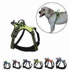 Bps-3911 Promo Pettorina Per Cane 30mm X 62-85/80-110cm