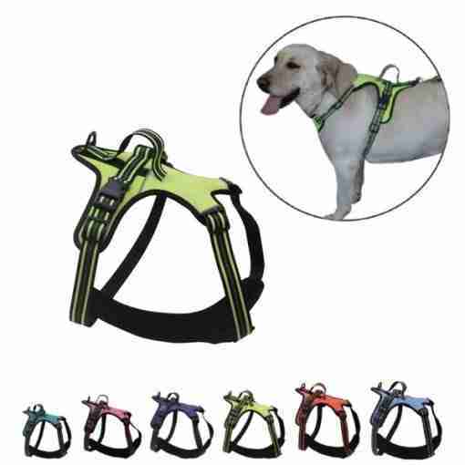 Bps-3911 Promo Pettorina Per Cane 30mm X 62-85/80-110cm