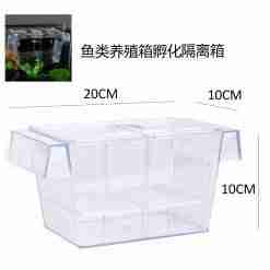 Bps-6933 Box Parto Per Pesci