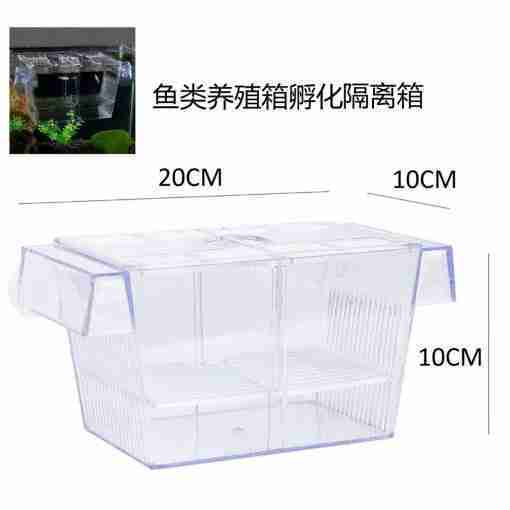 Bps-6933 Box Parto Per Pesci