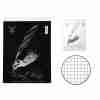 Pigna Blocco Mont Blanc 10x15cm A6 70ff 5m Ass.